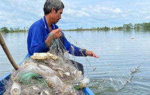 Cánh đồng ngập nước tại An Giang, nơi người dân thường đánh bắt cá vào mùa mưa.
